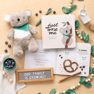 Book and Lovey Gift Set