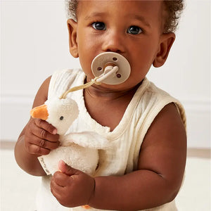 Bitzy Pal Pacifier & Stuffed Animal