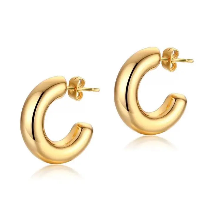 Sahira Chloe Mini Hoop