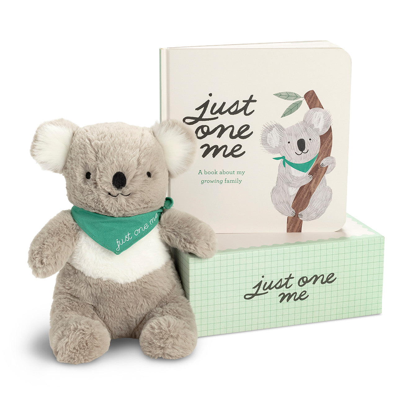 Book and Lovey Gift Set
